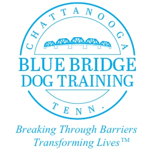 Blue Bridge Dog Training